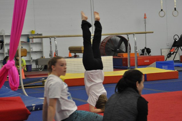 Besides handstands and headstands, we have to do these elbow stands, too. We're supposed to be able to hold the position for 15 seconds, with our feet together. I'm still working on the feet together part!
