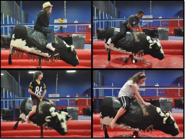 Bullrider montage