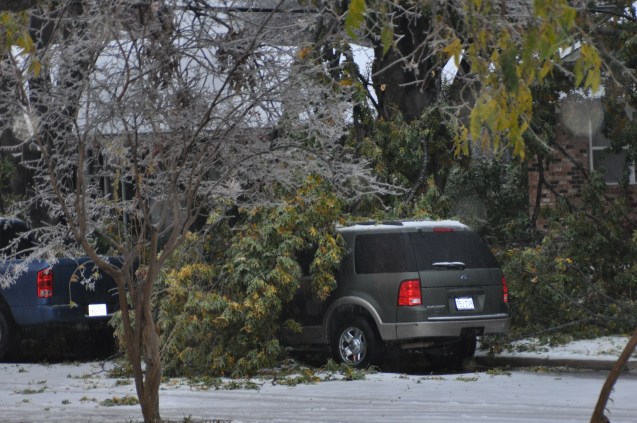 Car crushed by fallen tree Lake Highlands Dallas