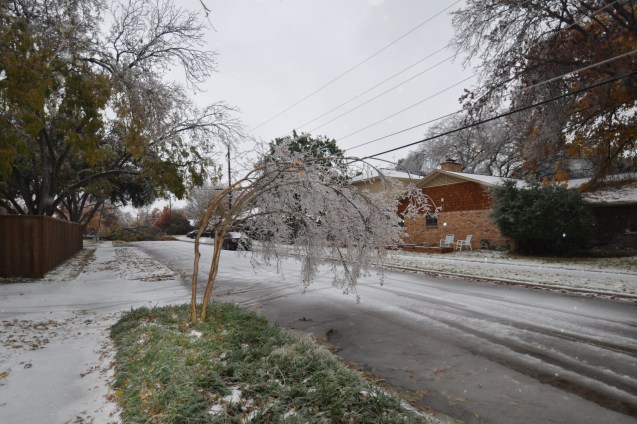 Ice storm damage Lake Highlands Dec 2013