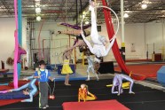 It s Circus Week Kameron Rie Badgers